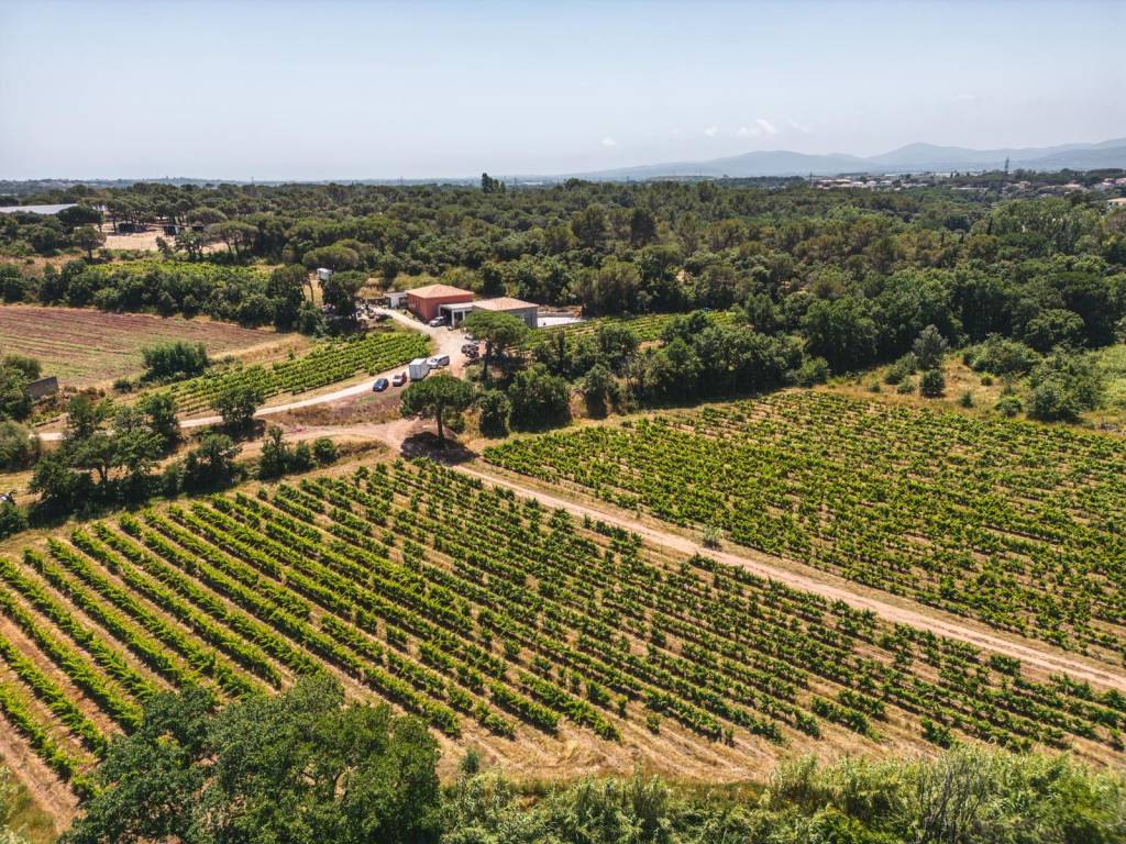 domaine viticole en Provence