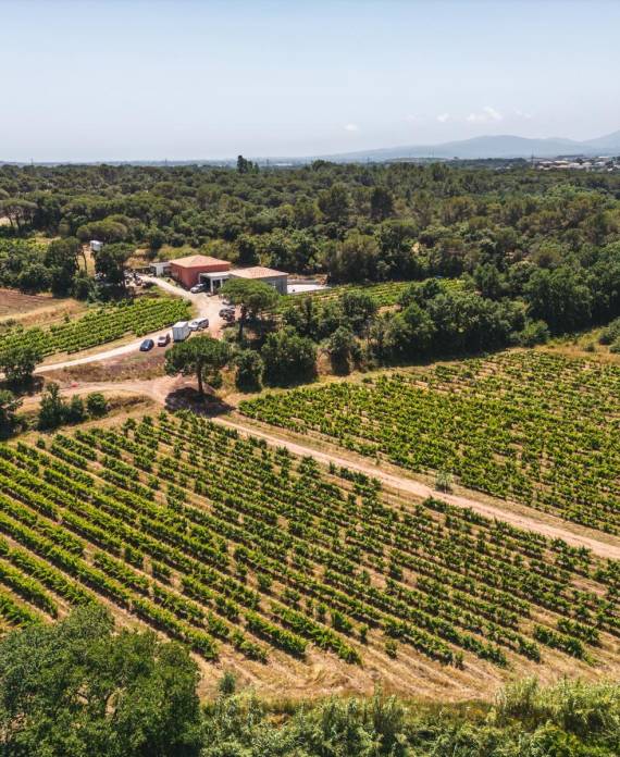 domaine viticole en Provence