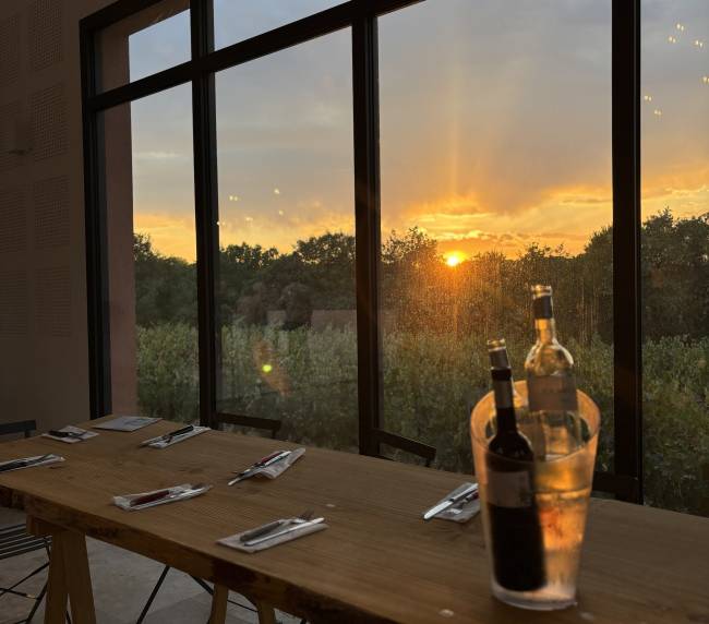 domaine viticole Puget-sur-Argens
