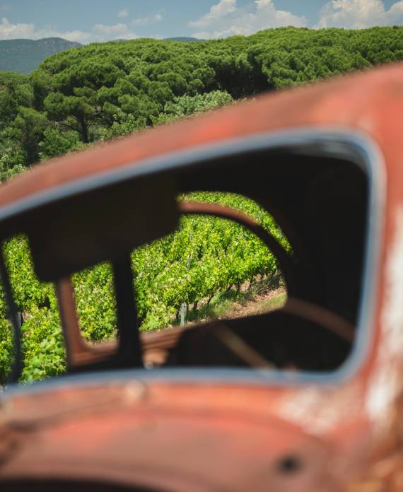 domaine viticole en Provence