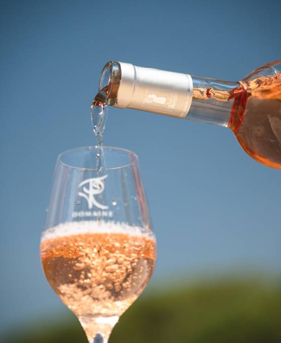 domaine viticole en Provence