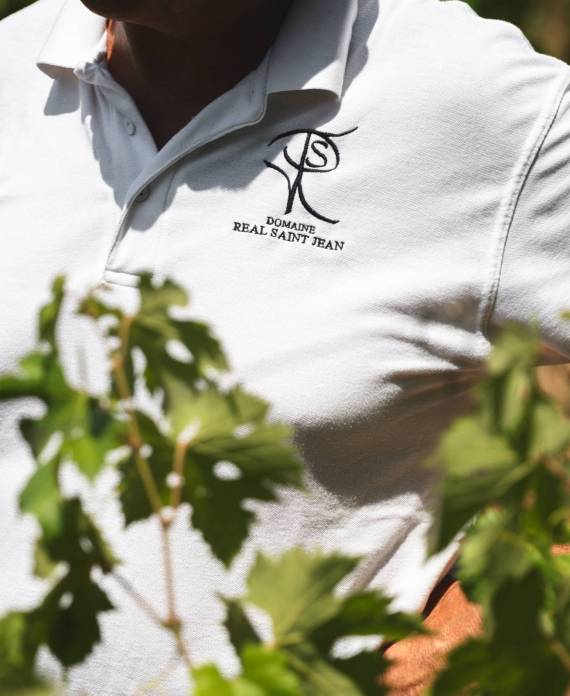 domaine viticole en Provence